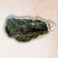 Ostra de la serie El puente japonés de Monet